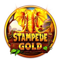 bingo olus how to unhide bet history in 1xbet